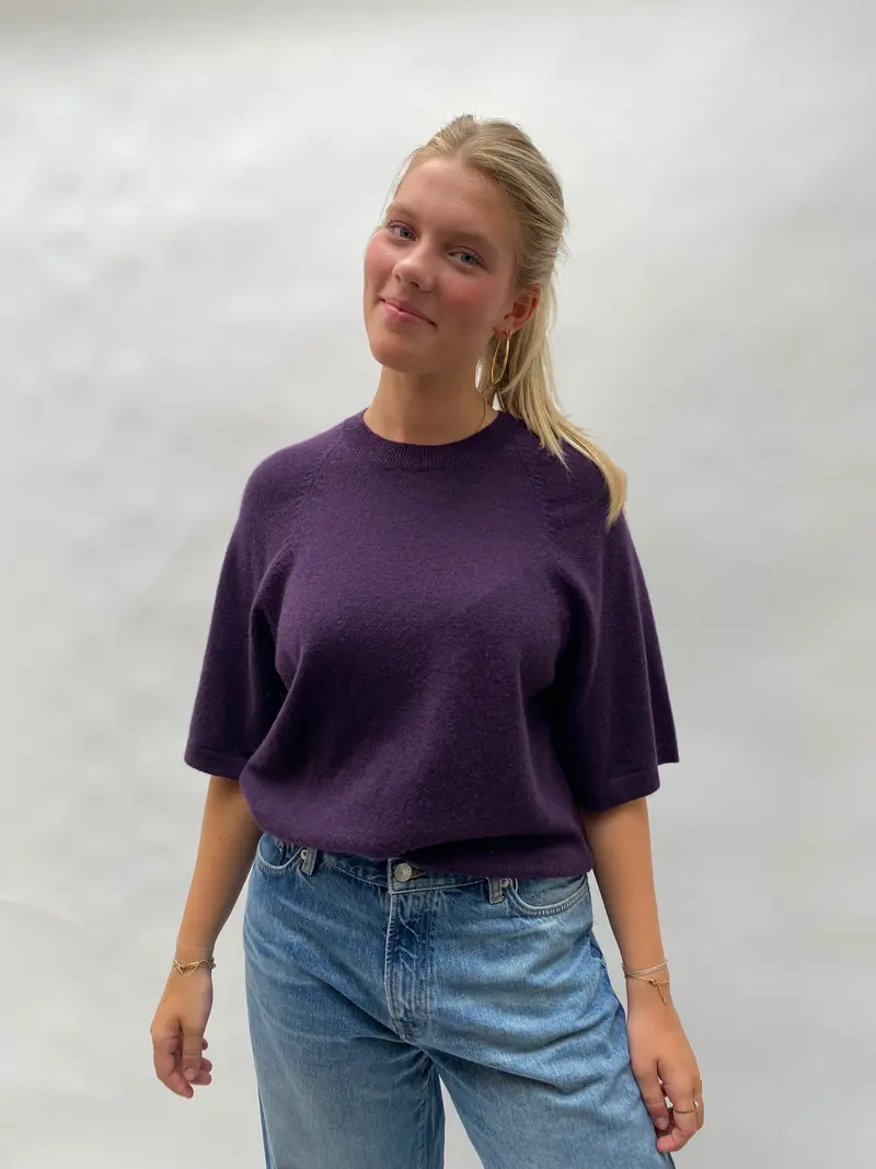 Absolut cashmere leana short sleeve heather plum