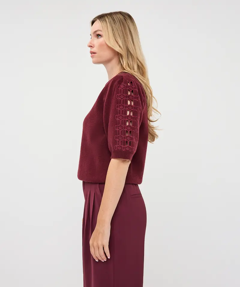 Esqualo trui korte mouw merlot model Sweater knit embroidery bordeaux