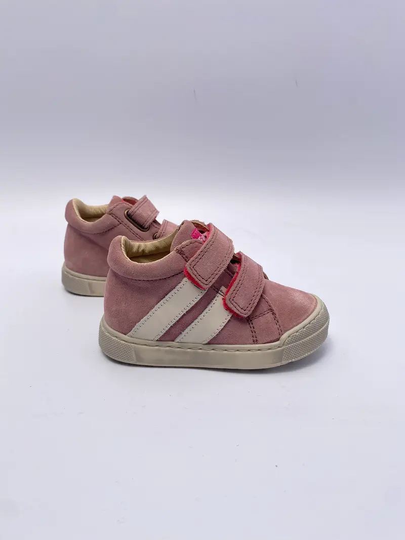 Falcotto gazer delave rose milk