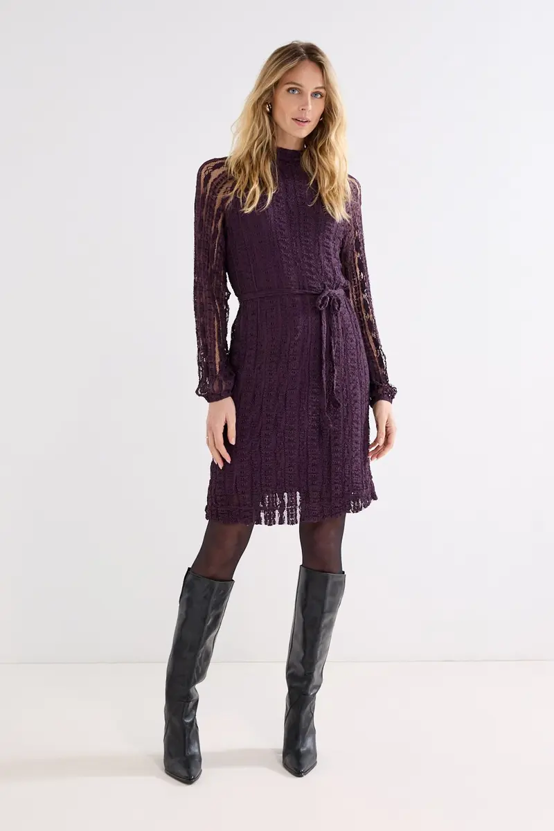 Fancy Lace Crinkle Dress