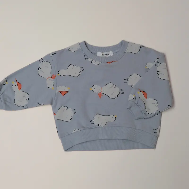 Fly Away Sweatshirt