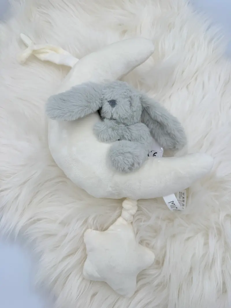 Konijn op de maan muzikale knuffel mint