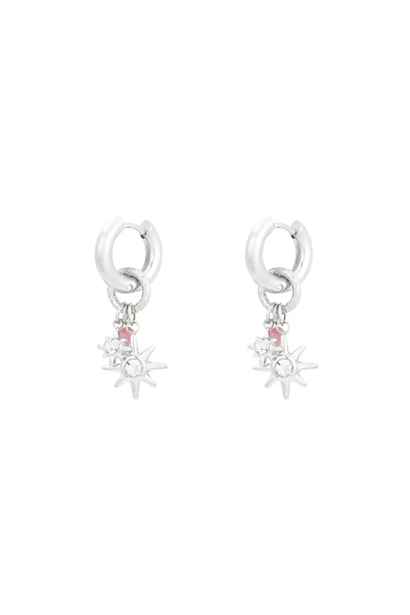 Oorbellen - Stainless steel zilver ster met roze