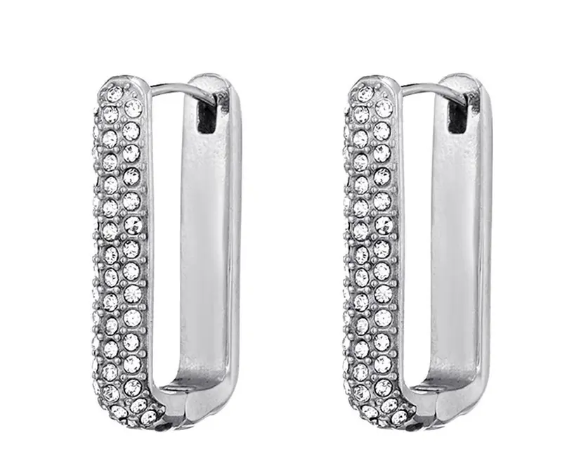 Oorbellen zilver