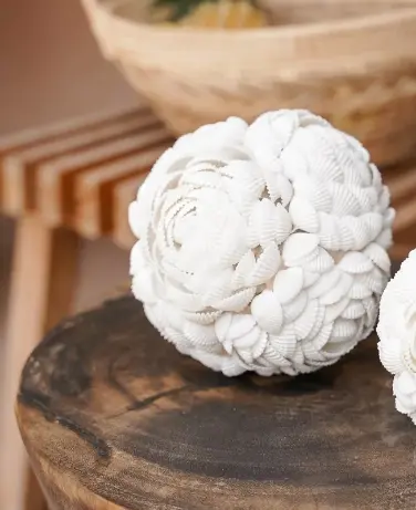 The sea shell ball