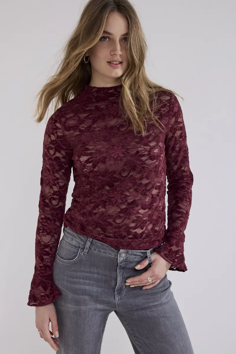 Velvet Stretch Lace Top