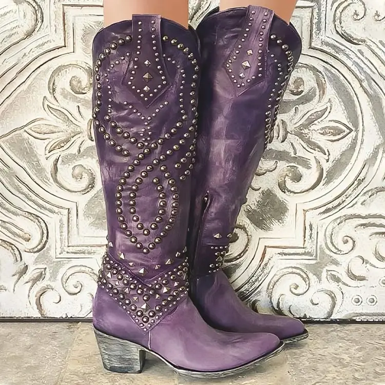 Victoria | Damen Winterstiefel Western-Stil mit Spitzschuh Nieten