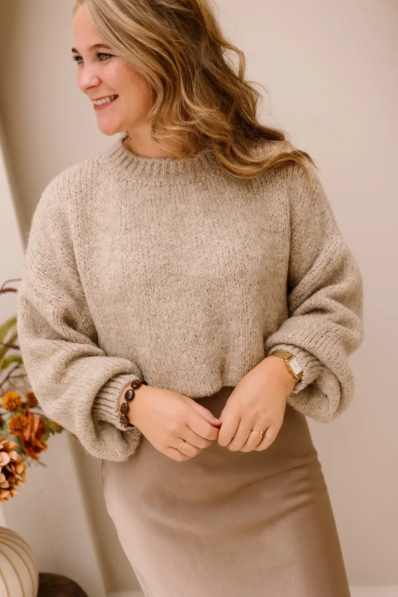 Wendy sweater taupe